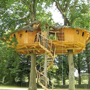 Insolite Dans Les Arbres Les Ormes, Couette-café